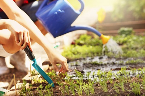 Landscaping team working on an ethical business policy document