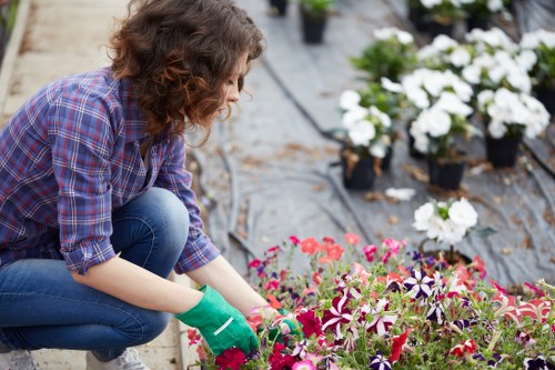 Customer raising a complaint about landscaping work