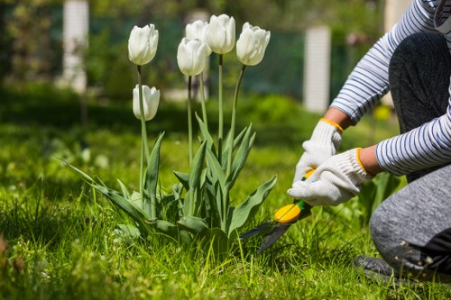 Aeration and soil improvement for lawn care in Deptford