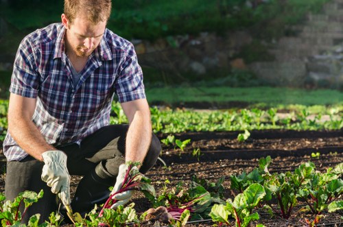 Professional Deptford planting services with shrubs and flowers