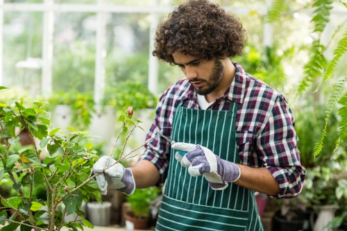 Eco-friendly garden clearance with sorted green waste