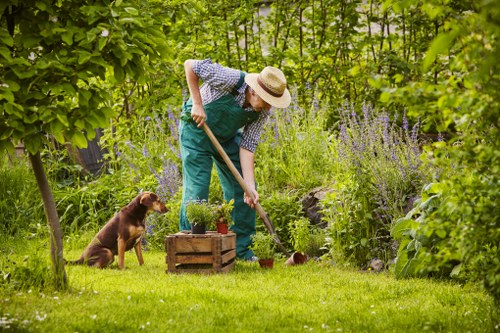 Landscapers in Deptford planning a garden transformation