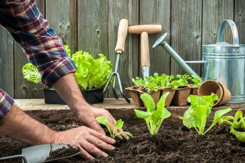 Landscapers managing waste and maintaining a tidy work area