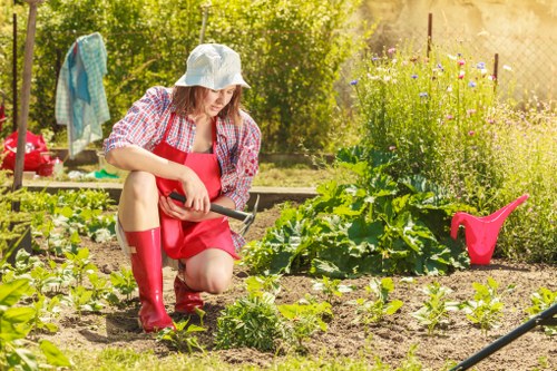 Garden hedge maintenance service in Deptford