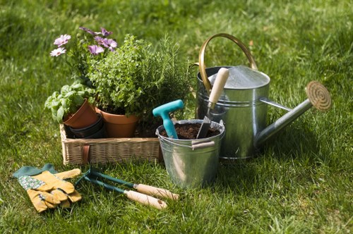 Well-maintained Deptford lawn after professional mowing