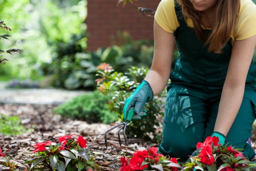 Inclusive landscaping content for Deptford visitors