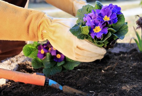 Free quote policy for Deptford landscaping waste removal