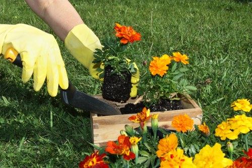 Professional landscape design and soft landscaping in Deptford