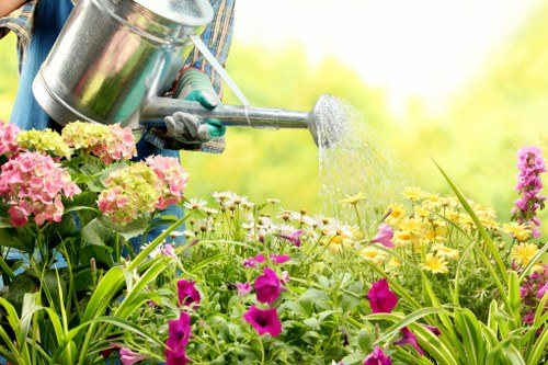 Seasonal planting design for a Deptford outdoor space