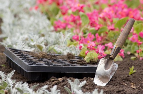Seasonal garden maintenance in Deptford with plants and shrubs