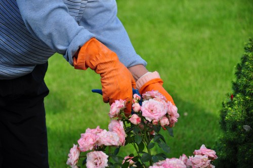 Landscaping team in Deptford focusing on quality finish