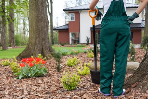 Seasonal lawn mowing in a shaded Deptford backyard