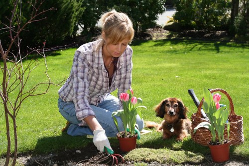 Supplier compliance review for landscaping services