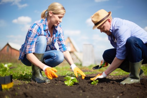 Low-carbon van collection for sustainable landscaping waste