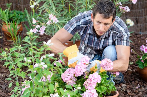 Eco-friendly landscaping recycling and waste recovery in Deptford